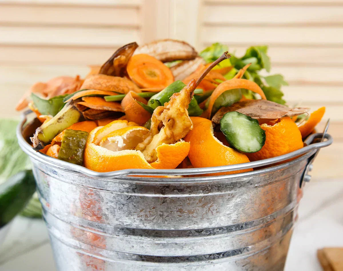 Kompostierung in der Natur – und wie du mit einem Komposter Zuhause Kompost herstellen kannst