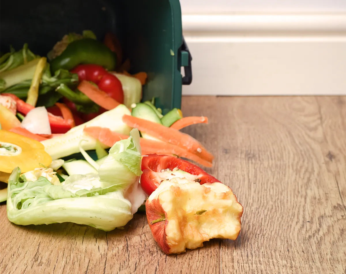 Kompost statt Biotonne: Warum sich Kompostieren mehr lohnt