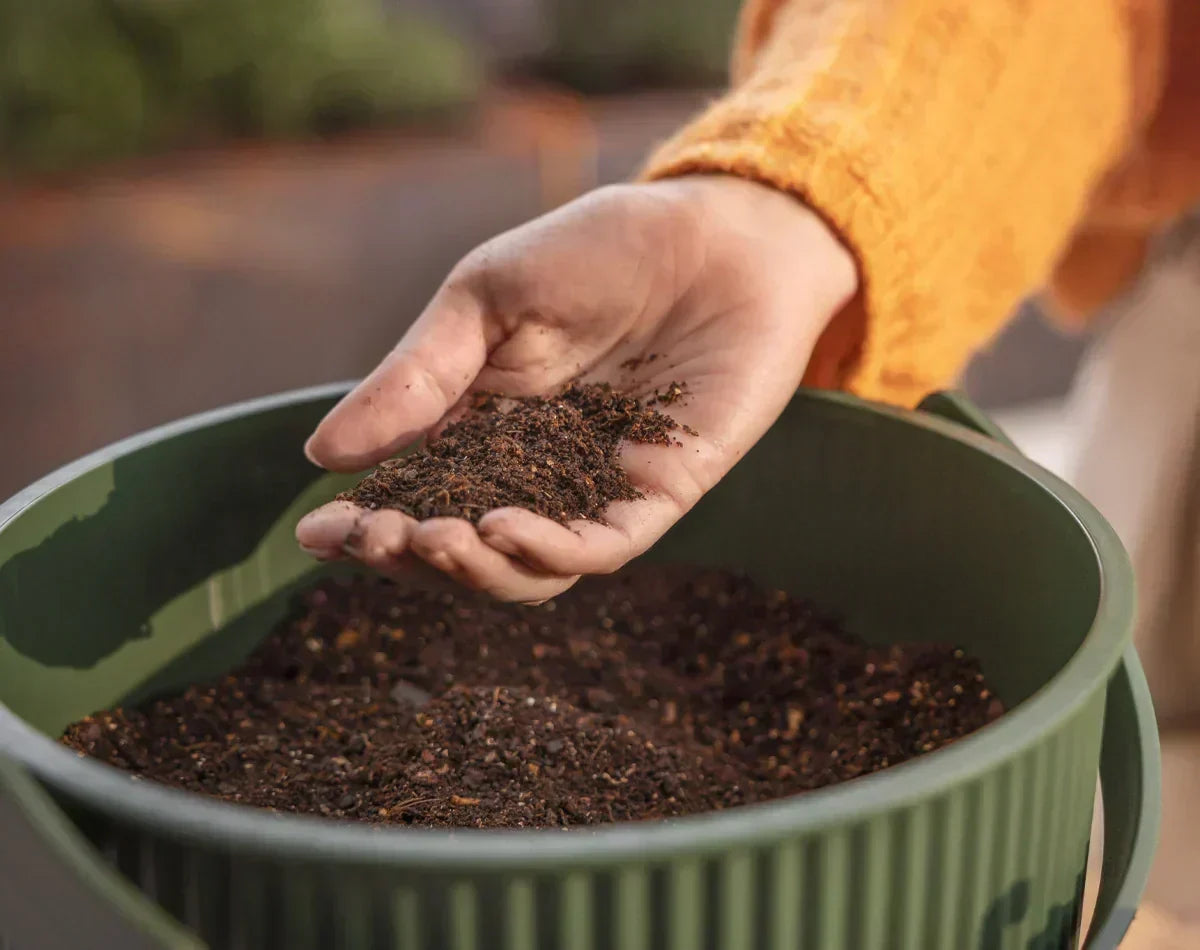 Was ist frischer Kompost? 5 Fakten über Home Composting