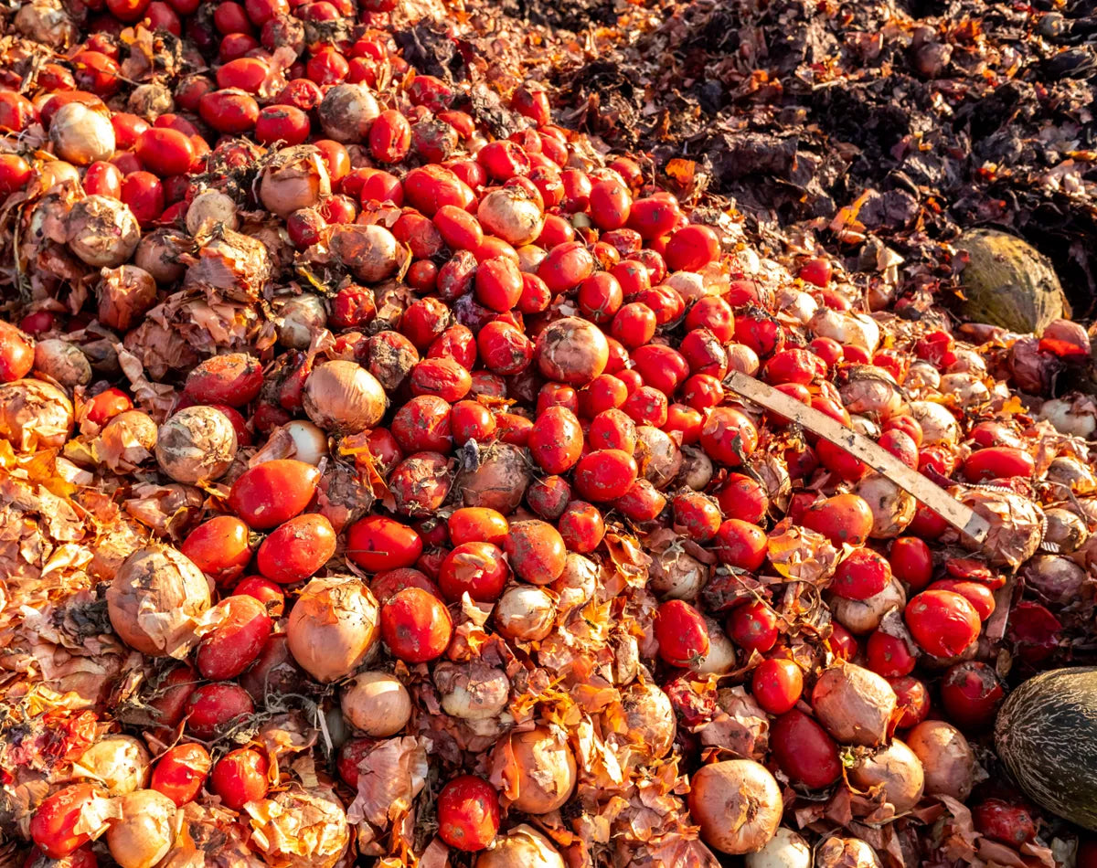 All Eyes on Food Waste – 7 Tipps wie du helfen kannst